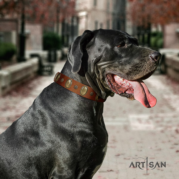 Great Dane easy wearing natural leather collar with decorations for your pet