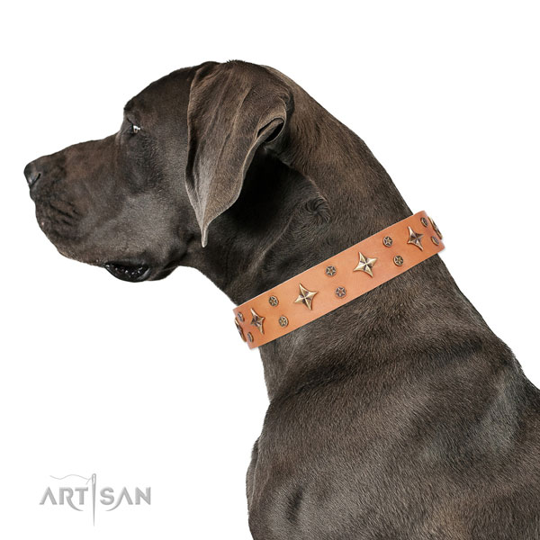 Great Dane impressive full grain leather dog collar for handy use