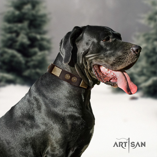 Great Dane walking full grain leather collar with studs for your dog