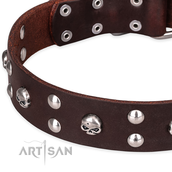 Everyday leather dog collar with astonishing embellishments