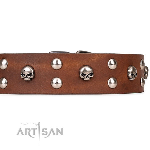 Full grain natural leather dog collar with thoroughly polished leather strap