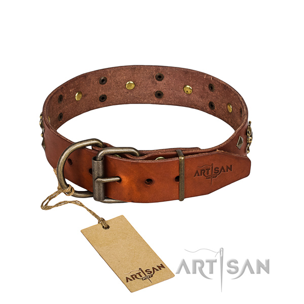Reliable leather dog collar with strong fittings