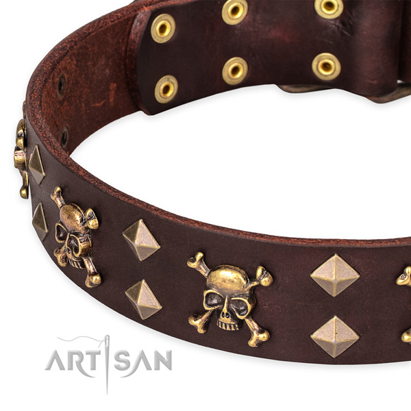 Day-to-day leather dog collar with amazing adornments