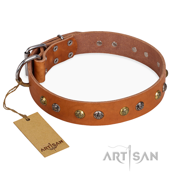 Easy wearing top notch dog collar with rust resistant traditional buckle