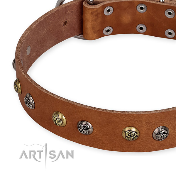 Full grain natural leather dog collar with fashionable durable decorations