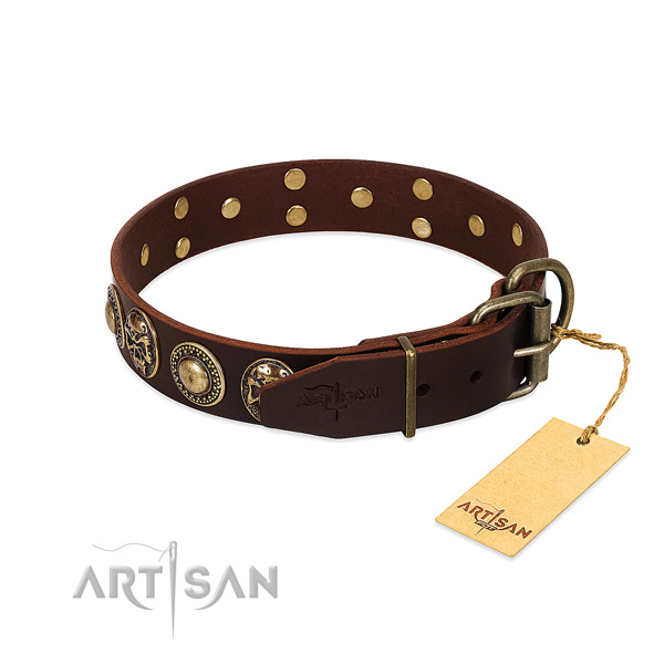 Rust resistant buckle on everyday use dog collar