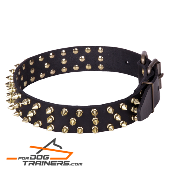 Deluxe dog collar with heavy-duty hardware