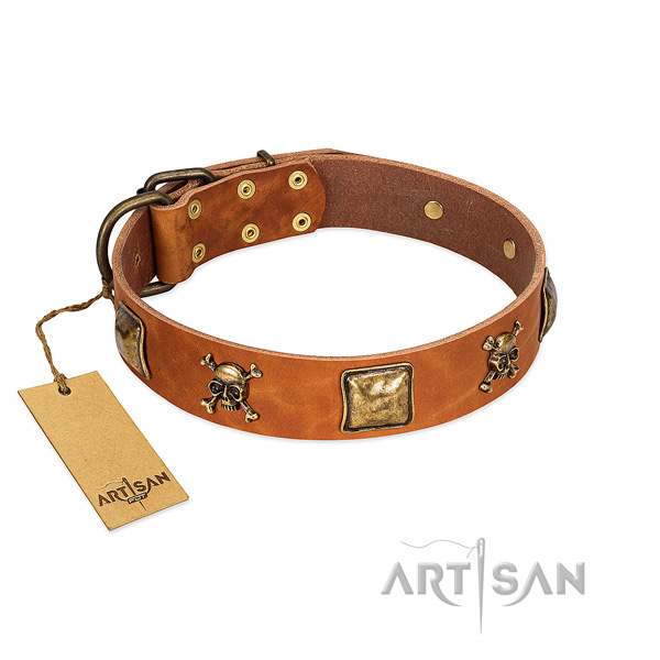 Amazing full grain leather dog collar with reliable embellishments