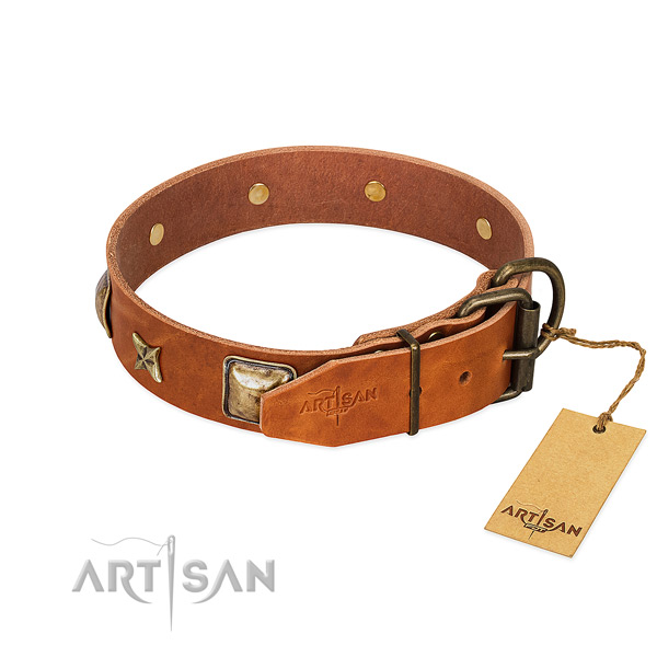 Full grain genuine leather dog collar with rust resistant fittings and adornments
