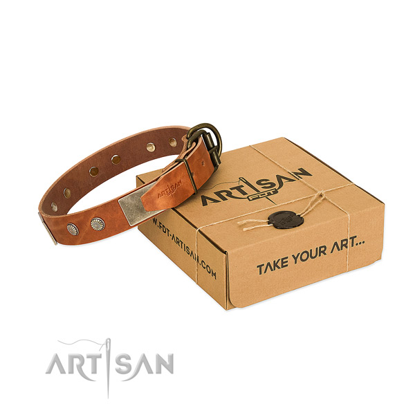 Rust-proof embellishments on dog collar for handy use