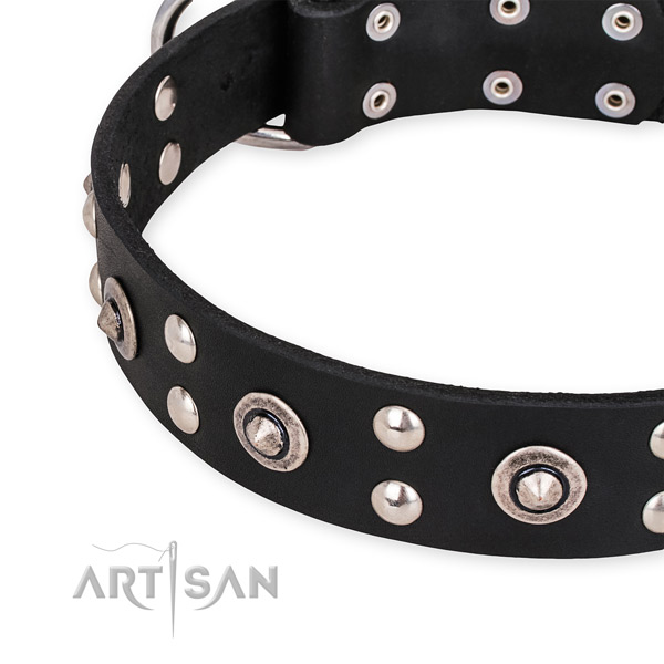 Full grain natural leather collar with reliable D-ring for your handsome doggie
