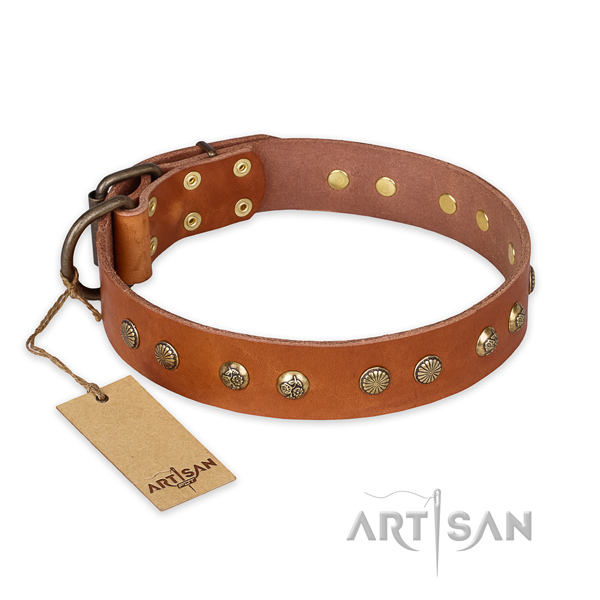 Significant full grain leather dog collar with corrosion resistant hardware