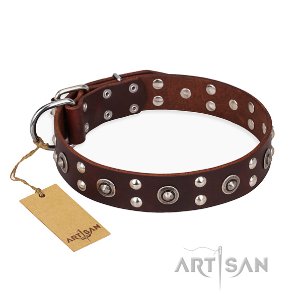 Comfy wearing incredible dog collar with corrosion proof buckle