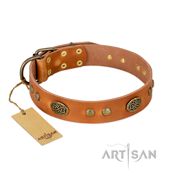 Rust resistant studs on full grain leather dog collar for your dog