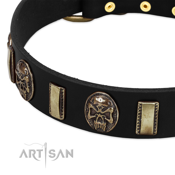 Rust-proof embellishments on genuine leather dog collar for your four-legged friend