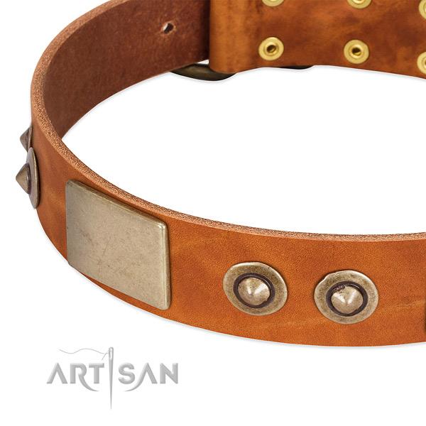 Rust resistant embellishments on full grain leather dog collar for your canine