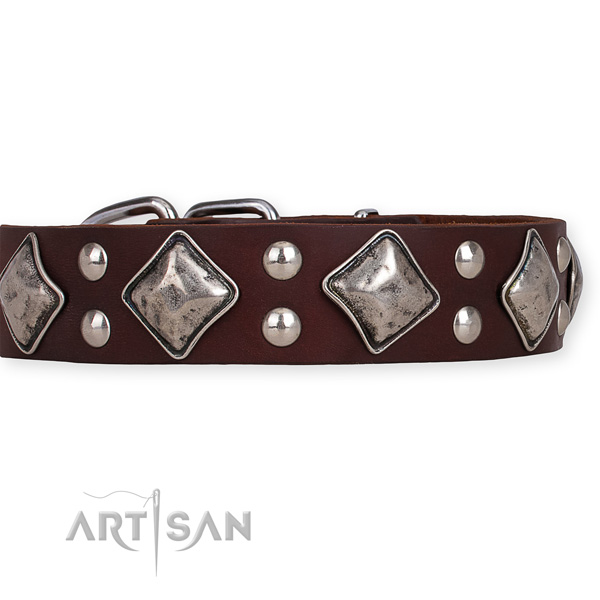 Leather dog collar with fashionable strong decorations