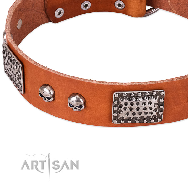 Reliable traditional buckle on leather dog collar for your dog