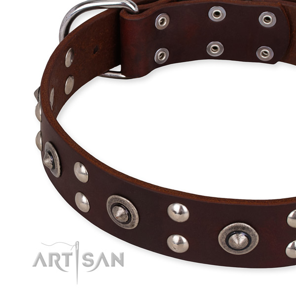 Full grain natural leather collar with reliable hardware for your handsome canine