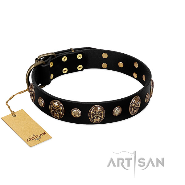 Natural leather dog collar with corrosion proof adornments