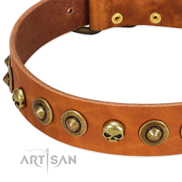 Amazing decorations on leather collar for your doggie