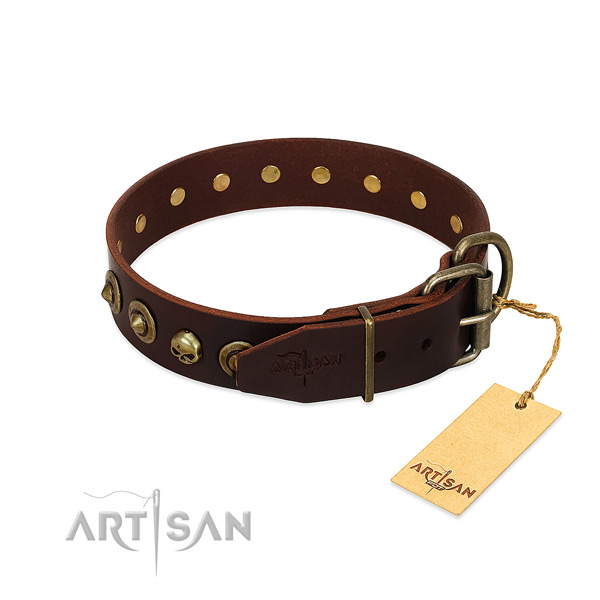 Natural leather collar with extraordinary decorations for your four-legged friend