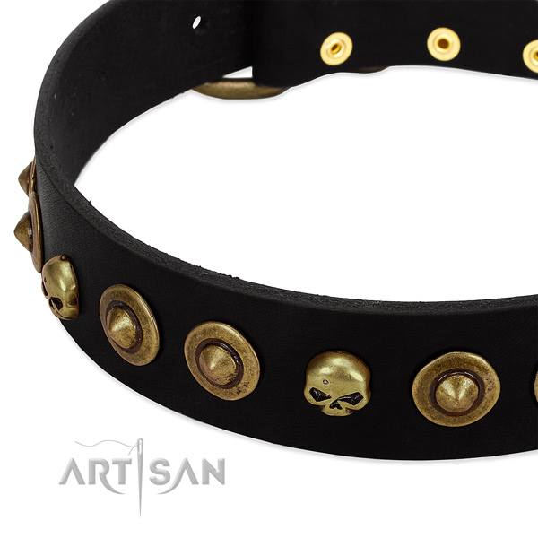Natural leather dog collar with inimitable decorations