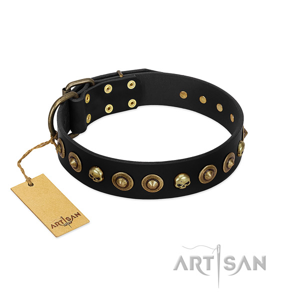 Full grain leather collar with designer embellishments for your dog