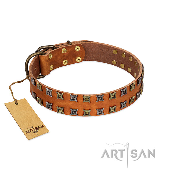 Soft to touch leather dog collar with adornments for your pet