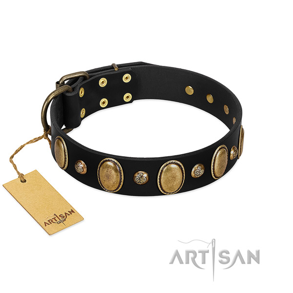 Natural leather dog collar of reliable material with stunning studs