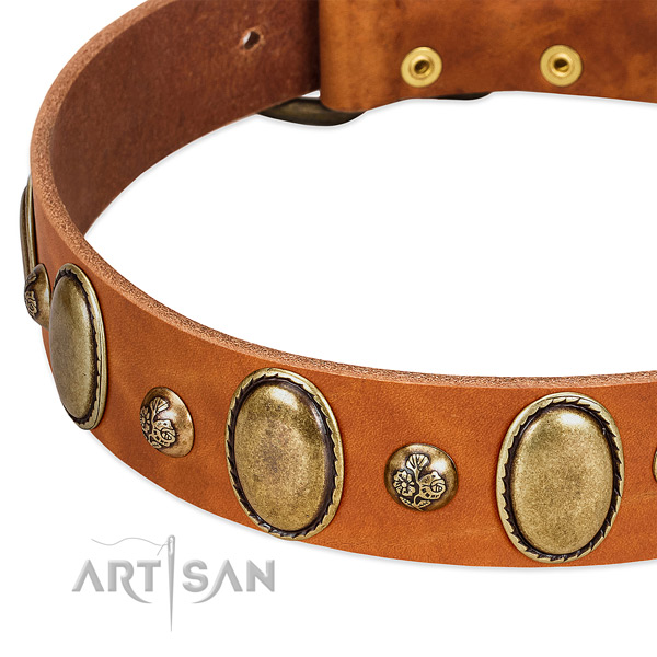 Full grain leather dog collar with extraordinary decorations