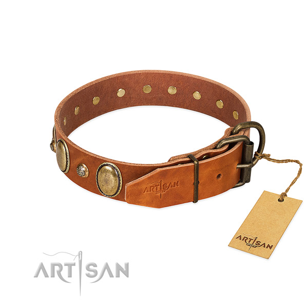 Amazing full grain leather dog collar with corrosion proof buckle