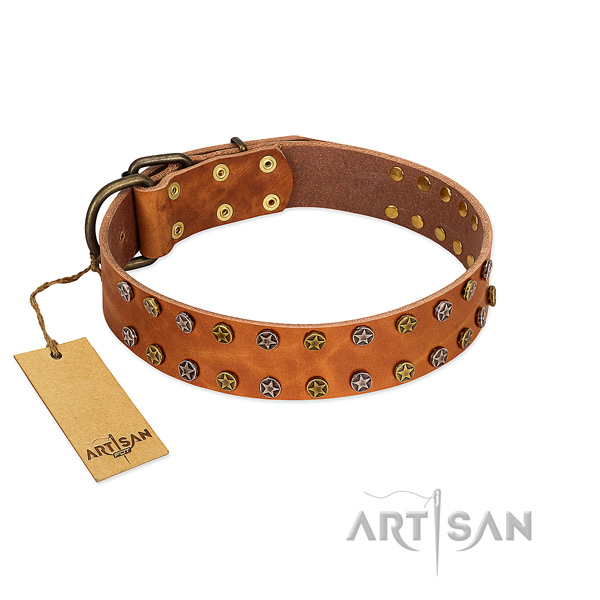 Stylish walking soft to touch full grain natural leather dog collar with studs
