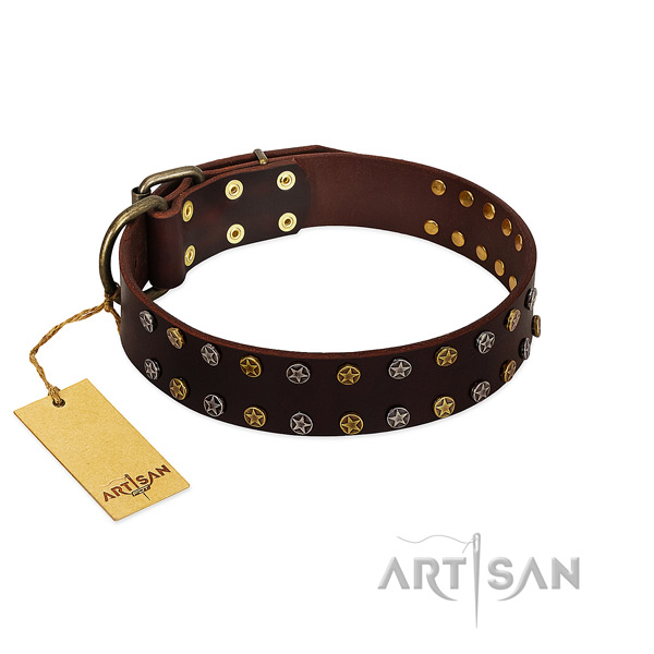 Walking soft to touch natural leather dog collar with studs