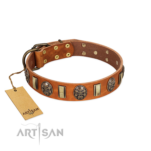 Exceptional genuine leather dog collar for handy use