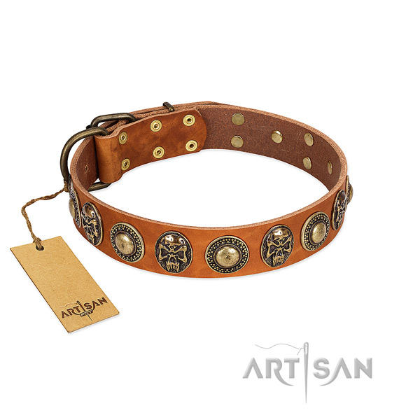 Easy wearing full grain natural leather dog collar for stylish walking your dog