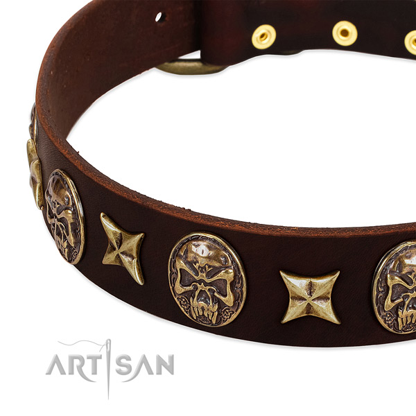 Strong adornments on genuine leather dog collar for your canine