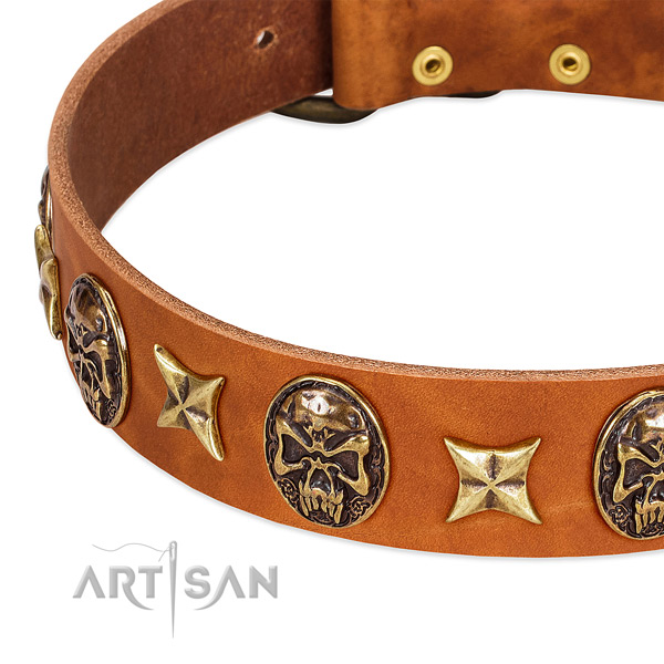 Strong hardware on full grain natural leather dog collar for your four-legged friend