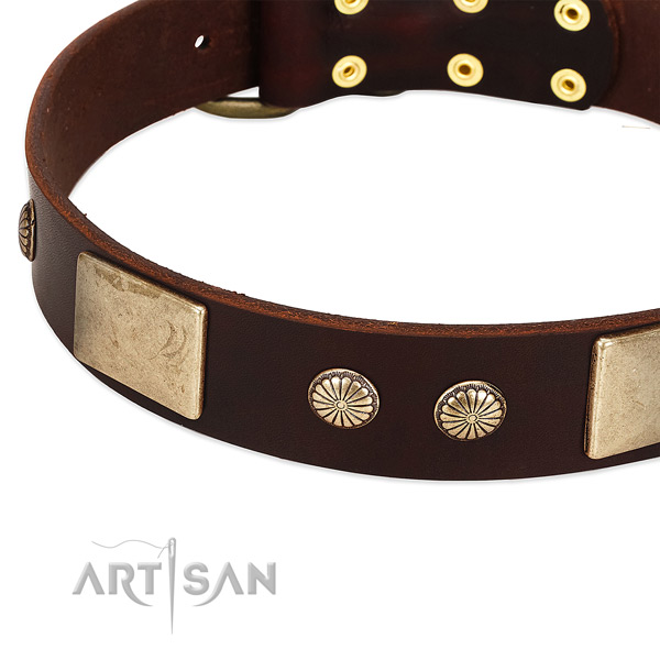 Reliable studs on full grain natural leather dog collar for your pet