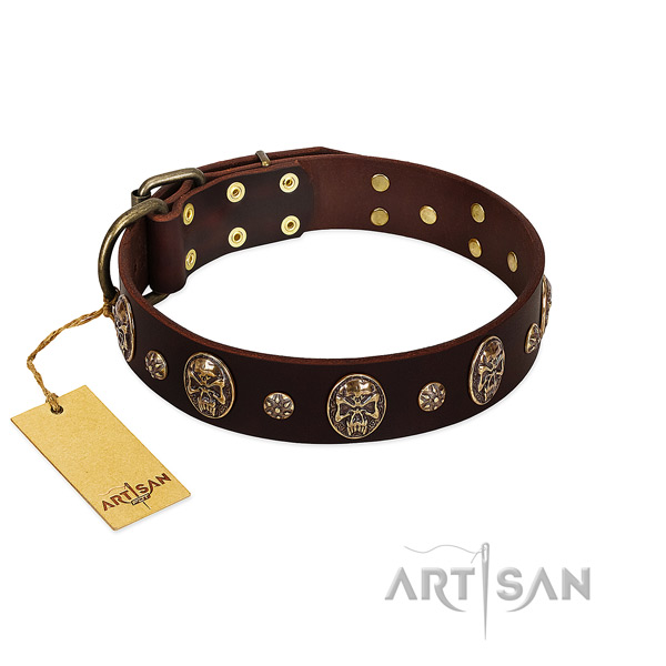 Stunning full grain natural leather collar for your doggie