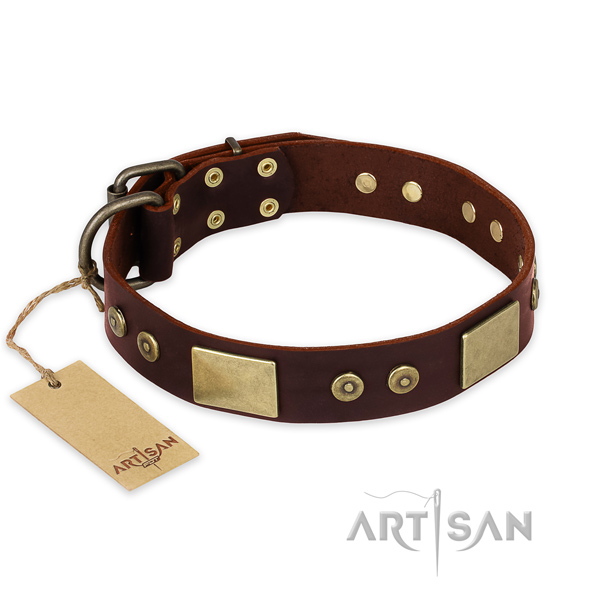 Amazing full grain leather dog collar for handy use
