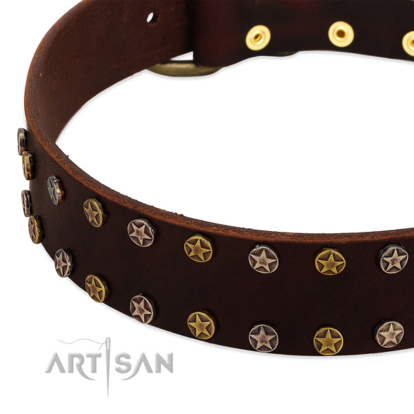 Everyday walking full grain leather dog collar with trendy embellishments