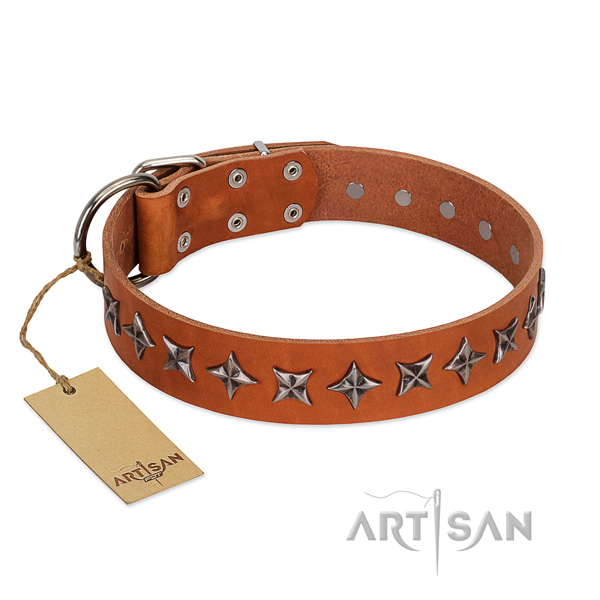 Everyday use dog collar of top notch full grain natural leather with studs
