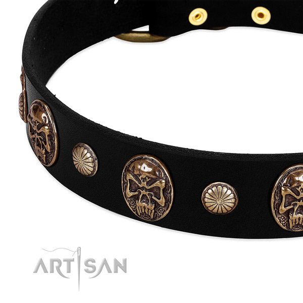 Leather dog collar with designer embellishments