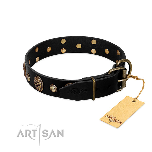 Reliable traditional buckle on natural leather collar for walking your four-legged friend