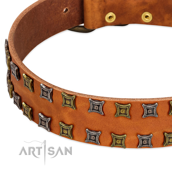 Quality full grain genuine leather dog collar for your handsome dog