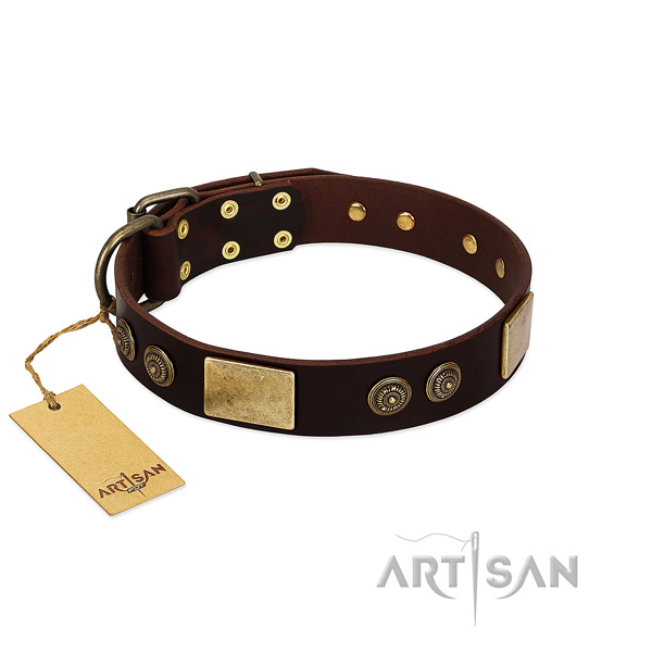 Strong adornments on leather dog collar for your four-legged friend