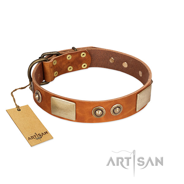 Easy to adjust leather dog collar for basic training your dog