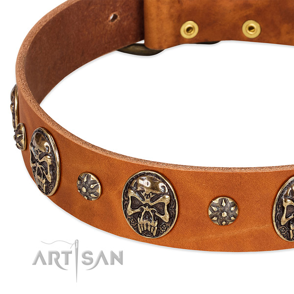 Corrosion resistant embellishments on genuine leather dog collar for your canine