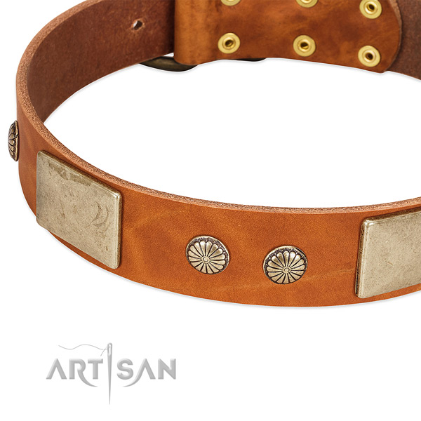 Corrosion proof buckle on genuine leather dog collar for your canine